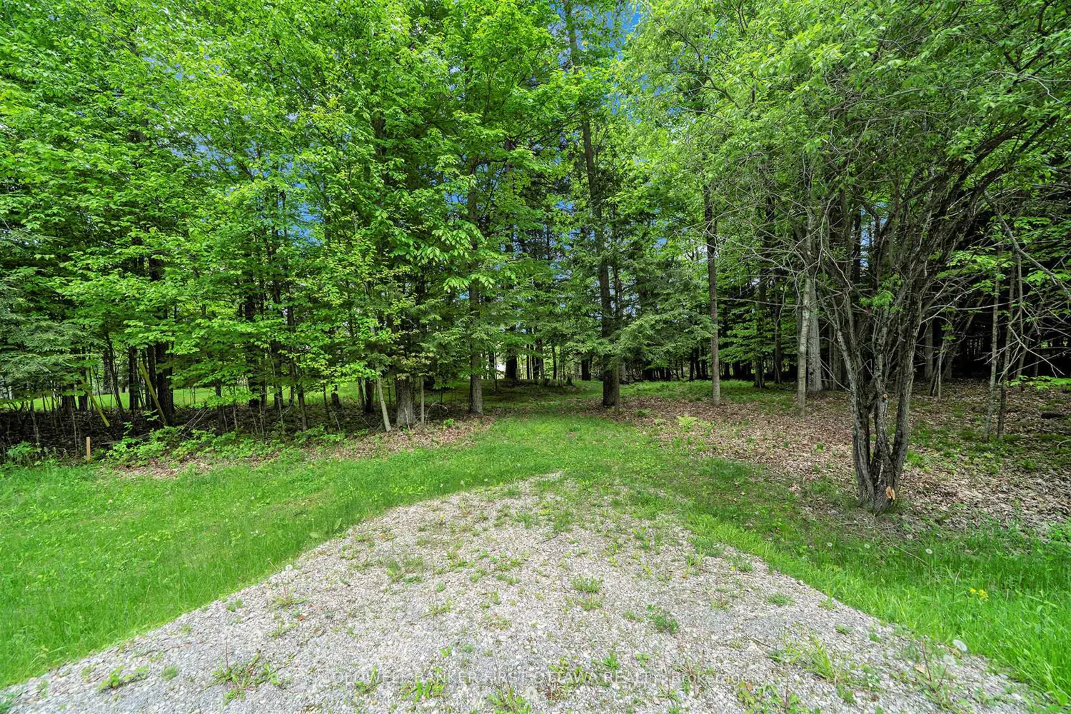 Additional image 10 of 00 Poole Drive