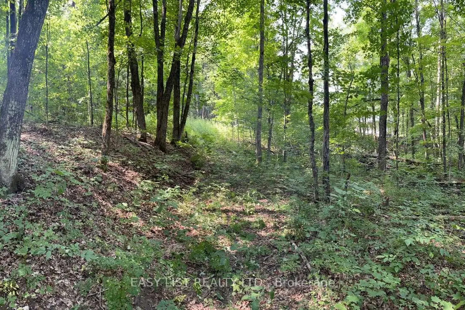 Additional image 6 of Lot 1 Colonial Road