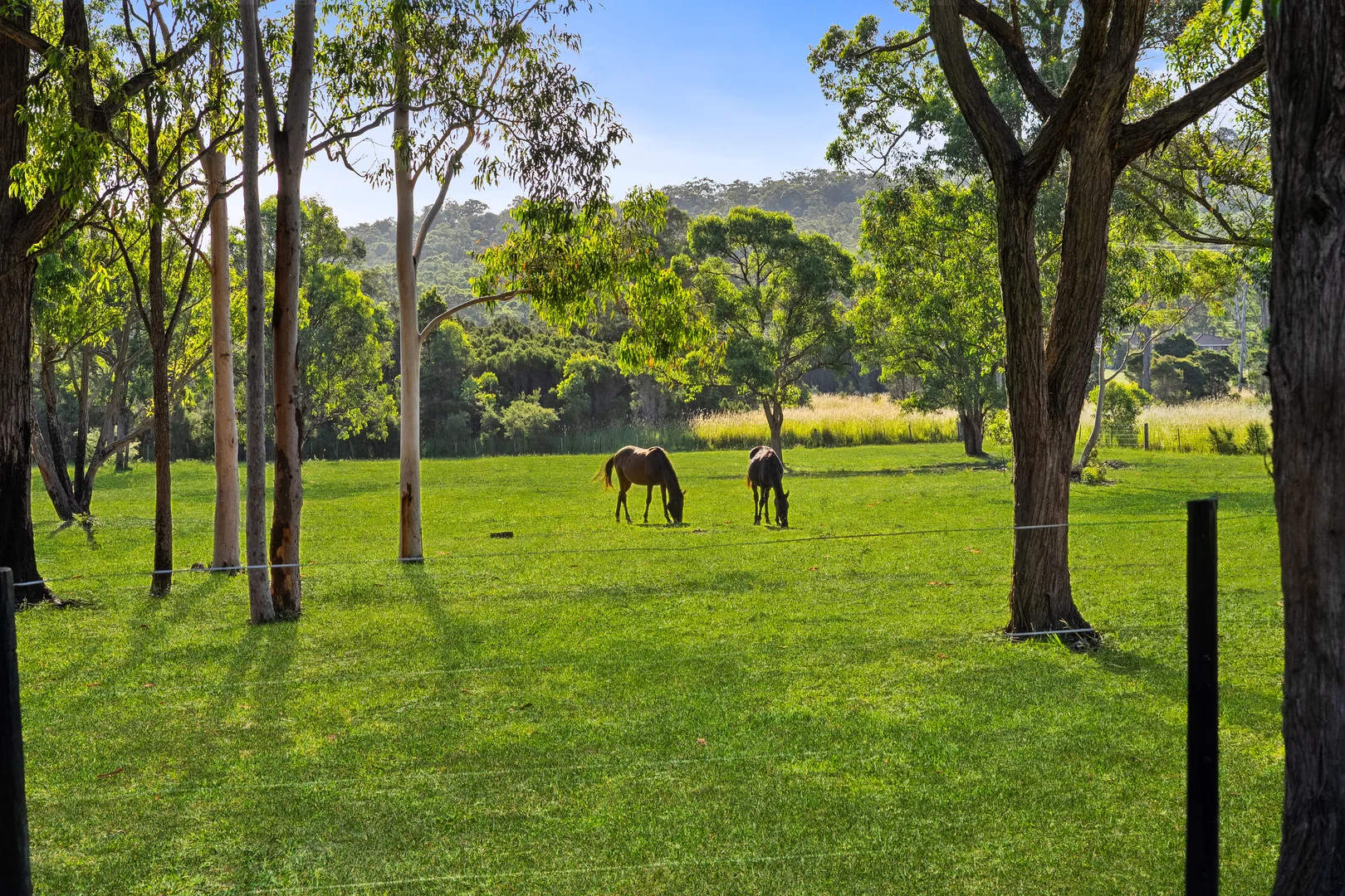 Additional image 3 of 10A Cottesloe Road, Jilliby NSW 2259