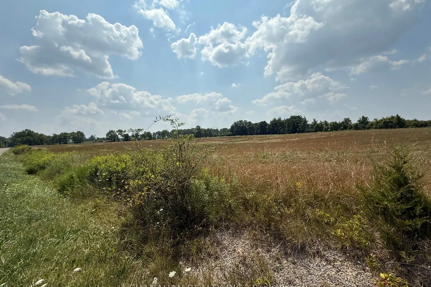 Additional image 4 of Ptlt 28 Sitter Road
