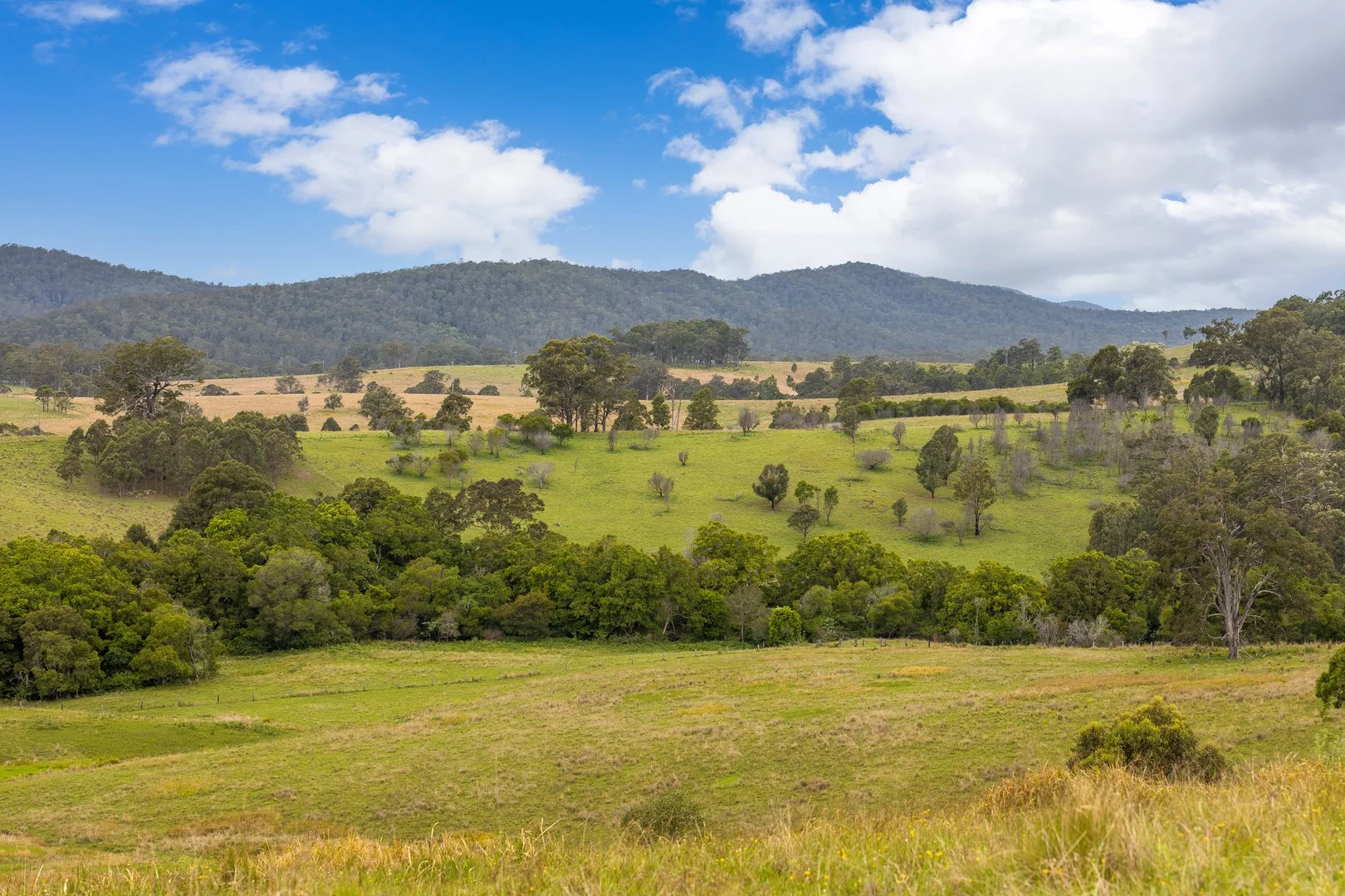 87 Norries Road, Bunyah NSW 2429