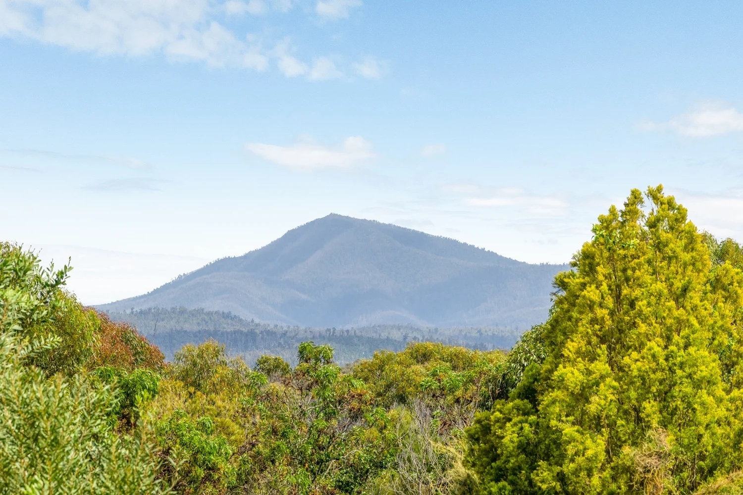 Additional image 29 of 234 Princes Highway, Eden NSW 2551