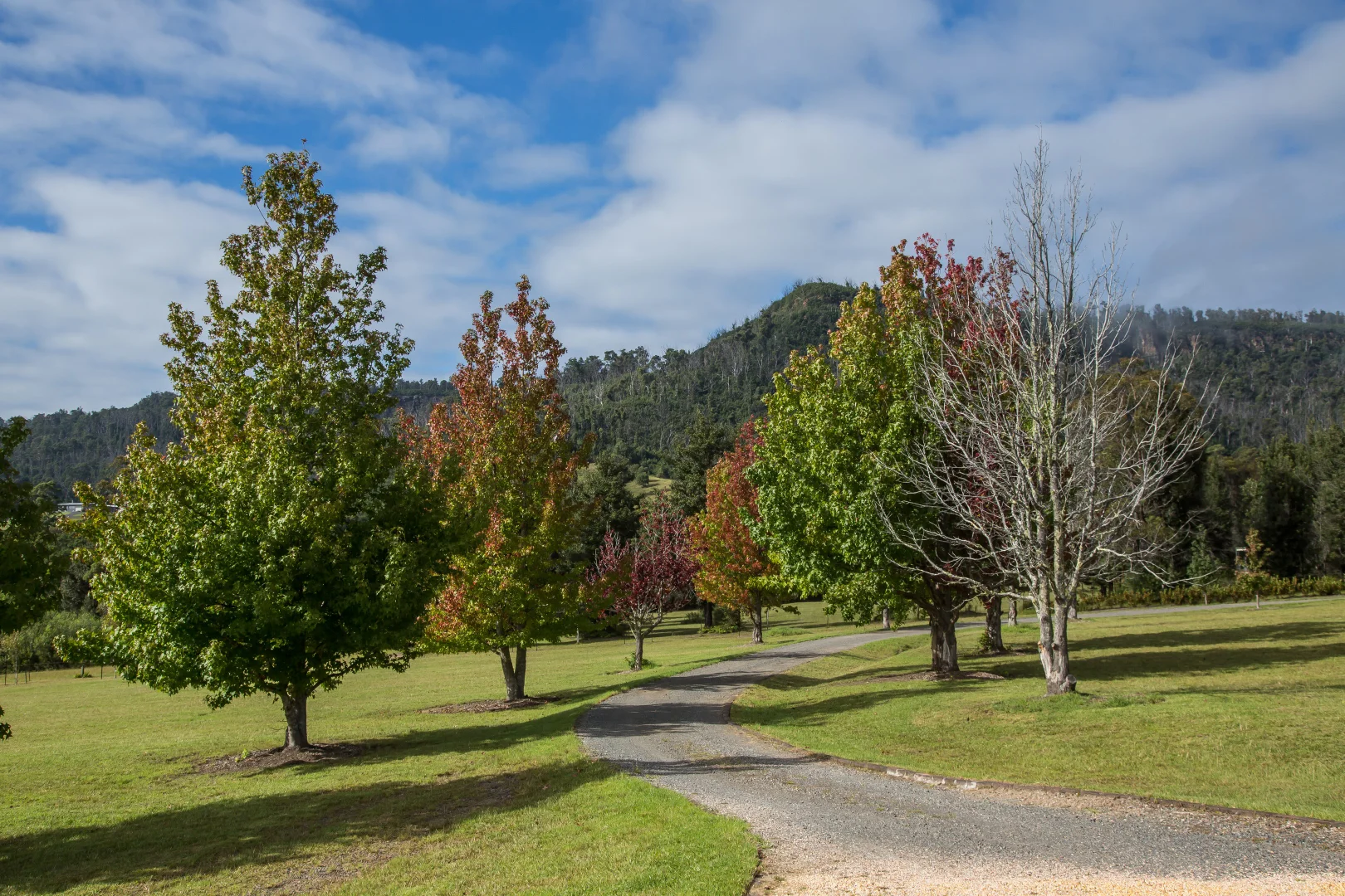 Additional image 23 of 18 Radiata Road, Kangaroo Valley NSW 2577