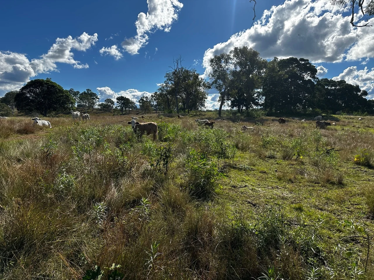 Additional image 10 of 26 Brown N Rd, Teebar QLD 4620