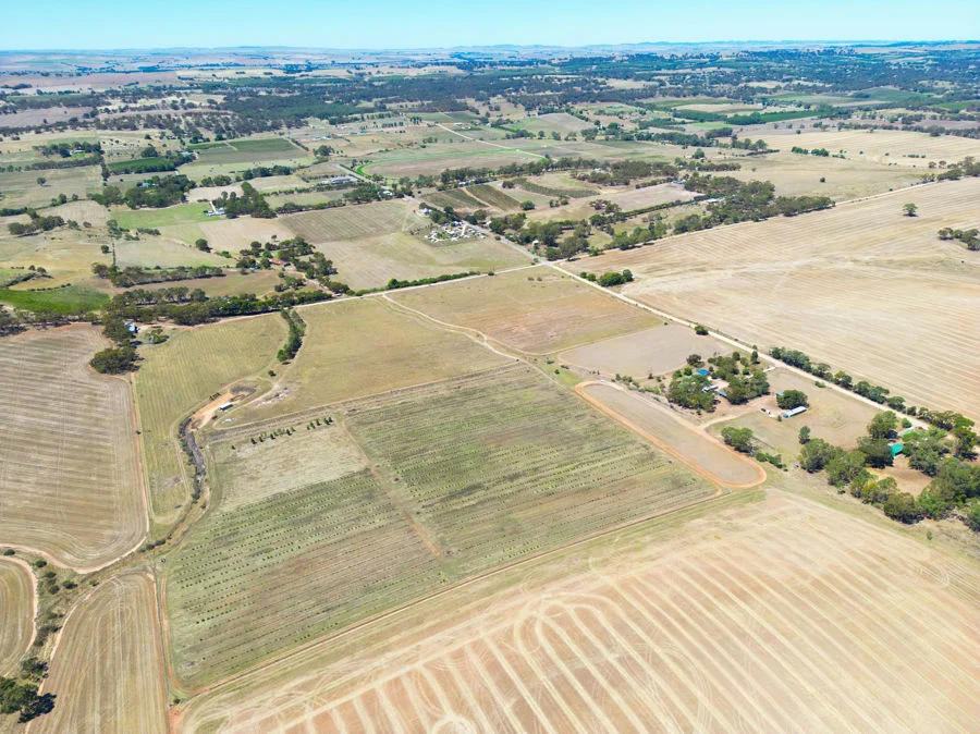 235 Basham Road, Stanley Flat SA 5453 photo 3