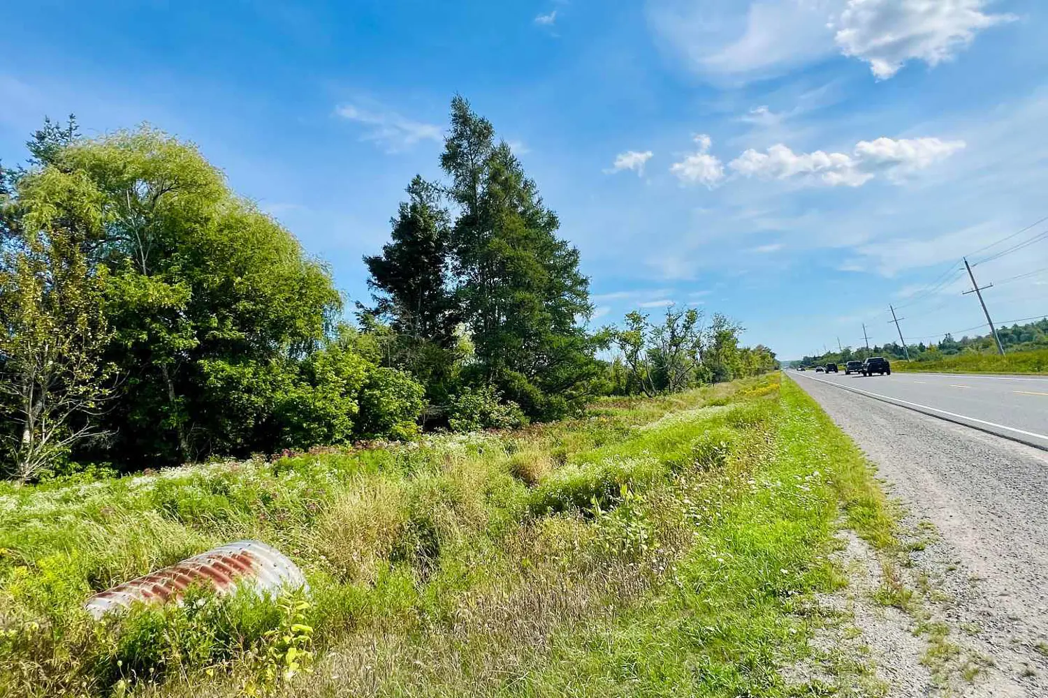 Additional image 12 of 19983 Hwy 48