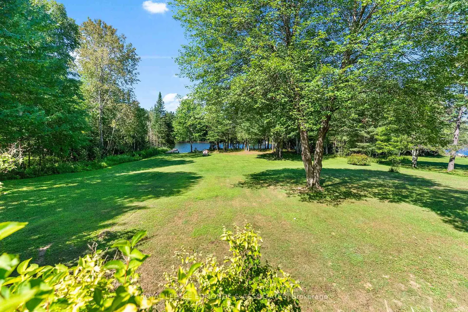 36 Crescent Drive photo 5