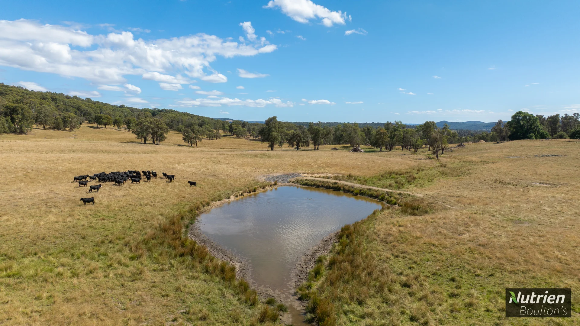Additional image 31 of 224 Niangala-Walcha Road, Niangala NSW 2354