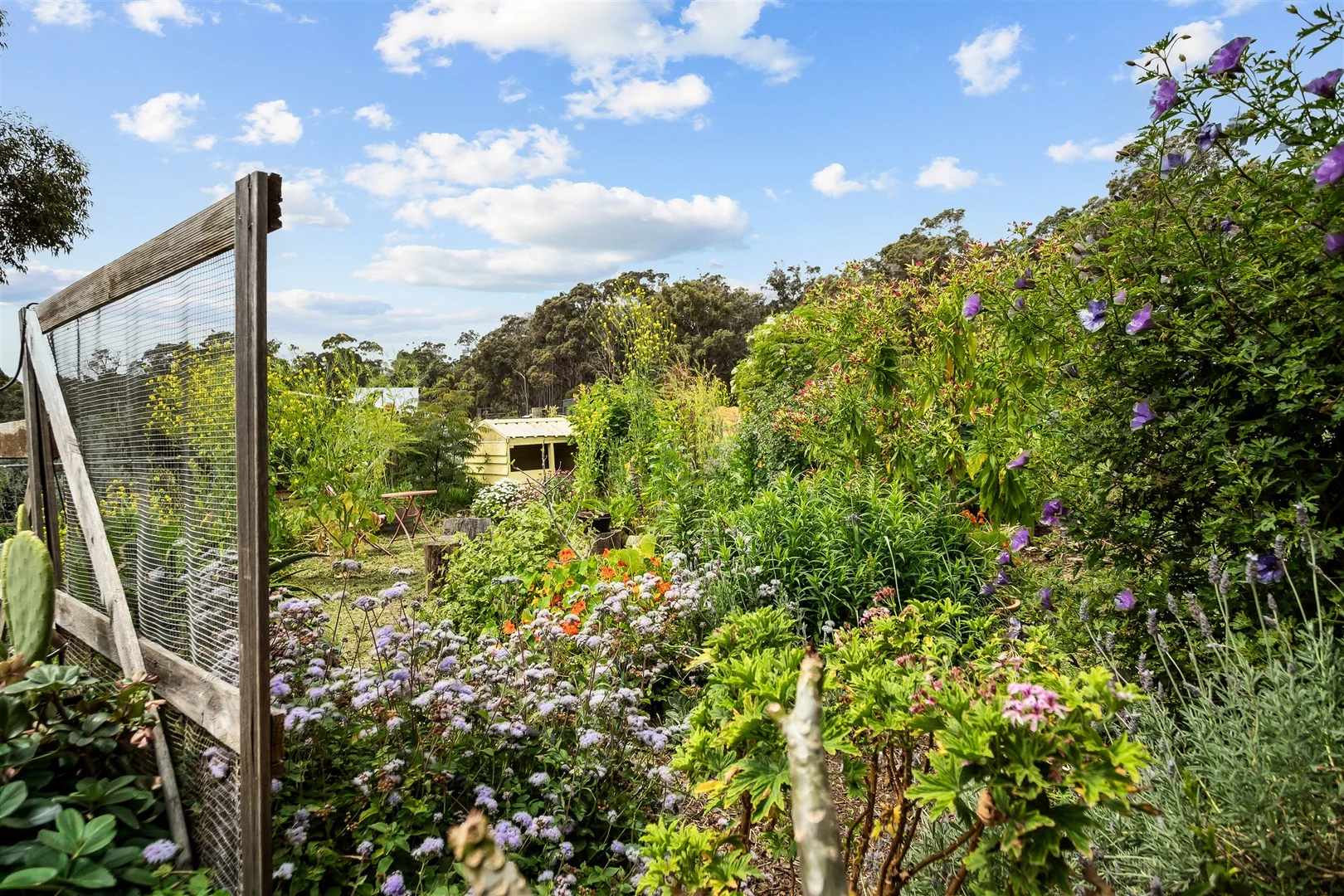 Additional image 28 of 5 Zani Place, Margaret River WA 6285