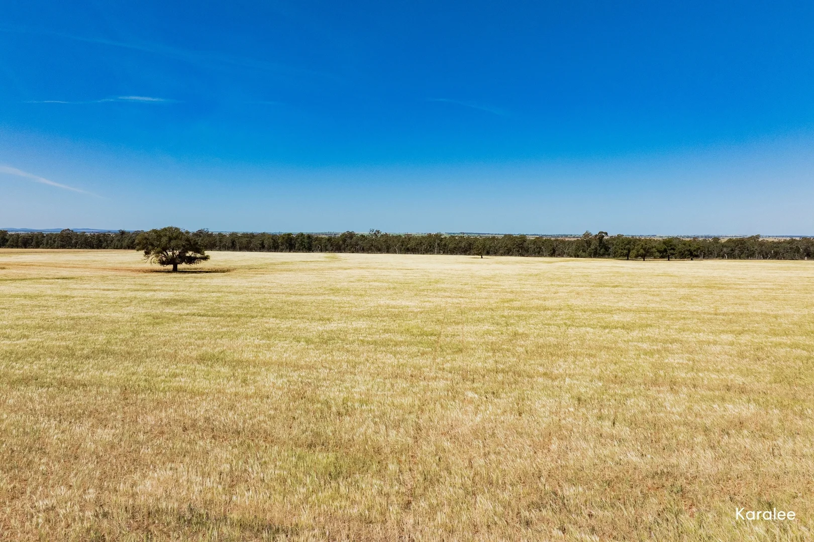 Additional image 7 of Kamarah Road, Narrandera NSW 2700