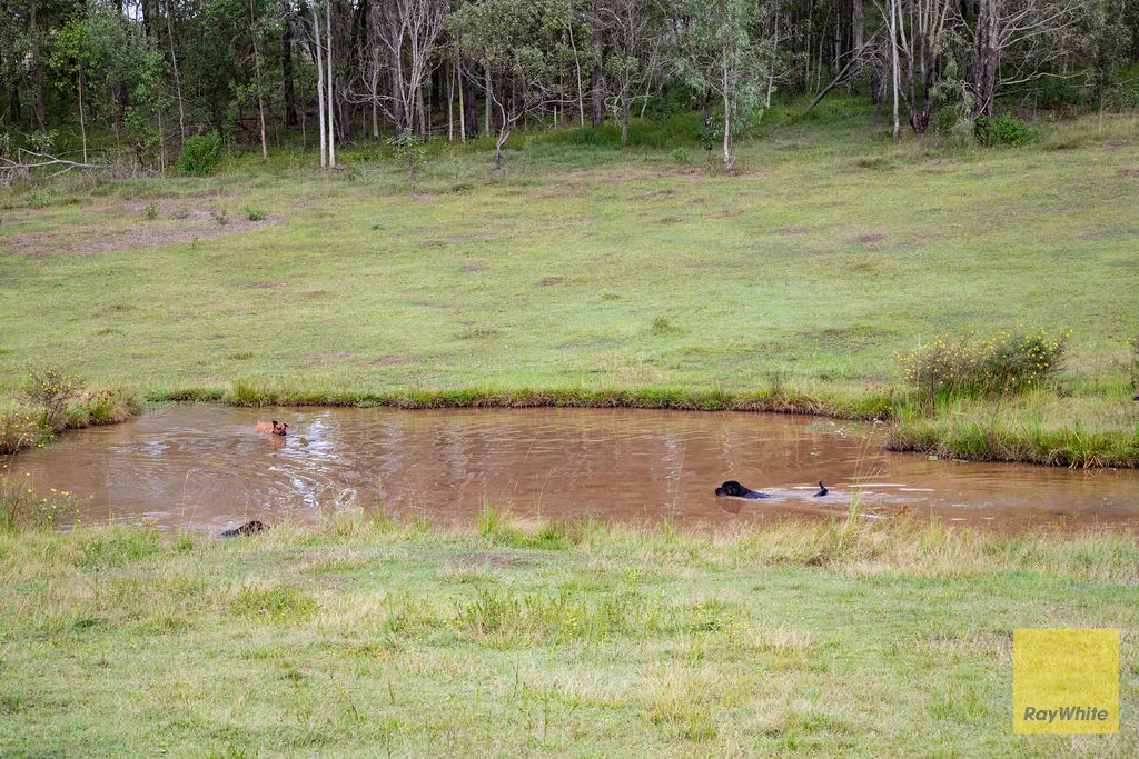 Additional image 37 of 352 Junction Road, Karalee QLD 4306