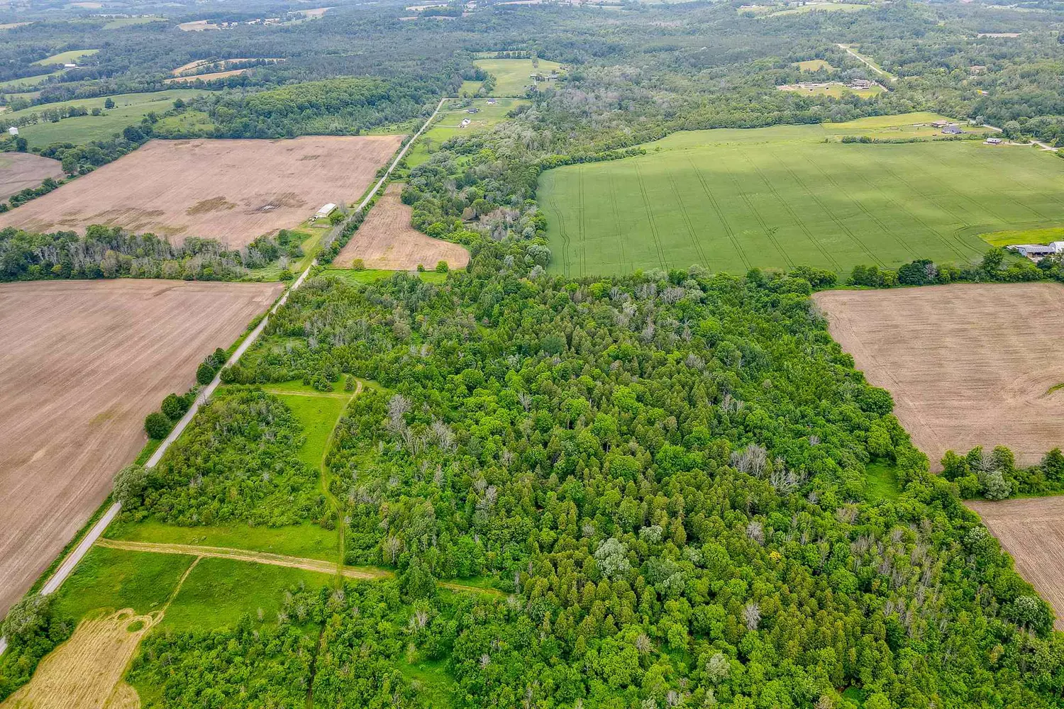 Additional image 8 of 0 Garland Road
