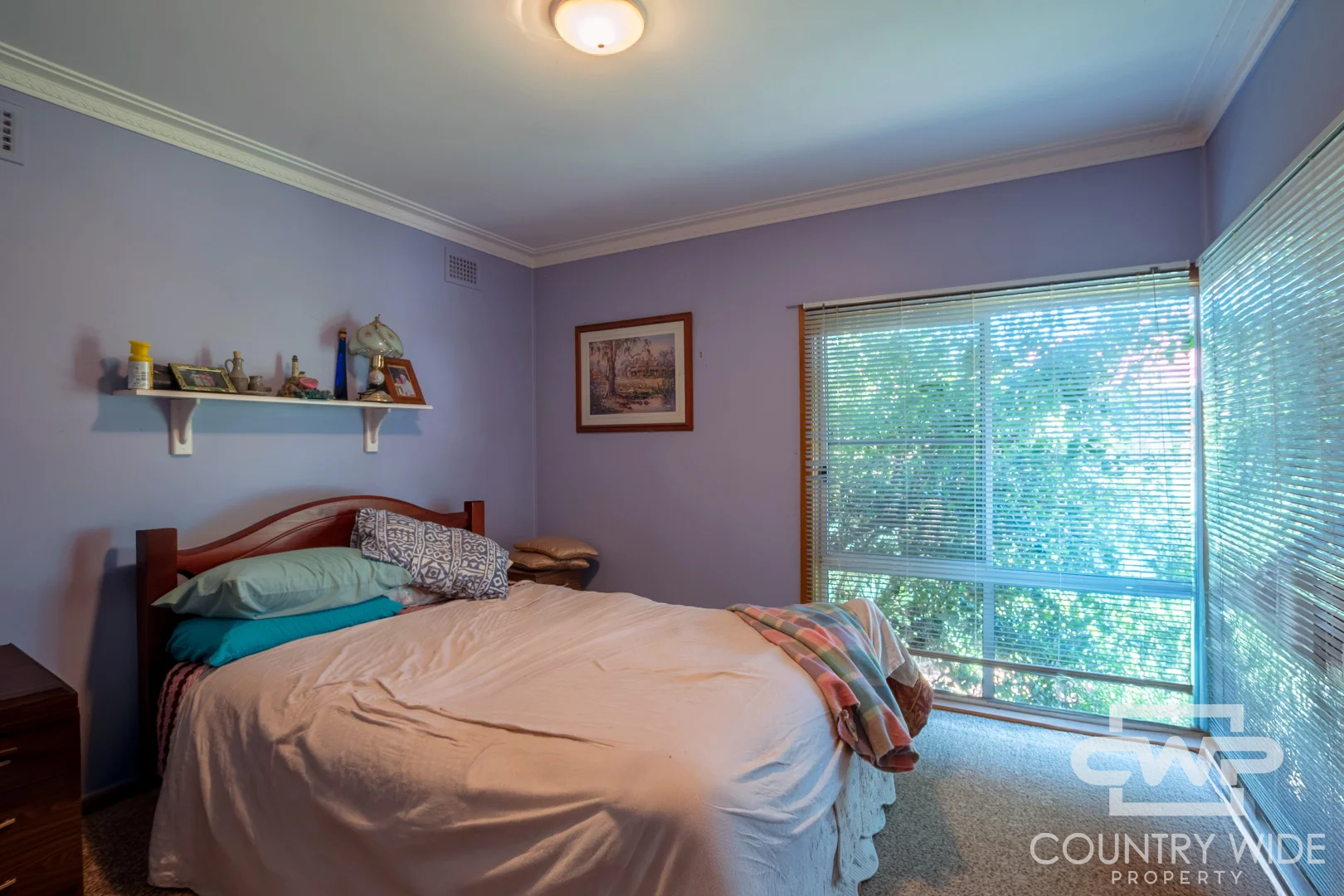 Additional image 6 of 8 Lackey Street, Guyra NSW 2365
