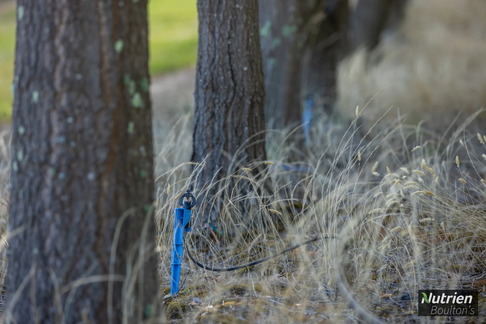 Additional image 48 of 224 Niangala-Walcha Road, Niangala NSW 2354