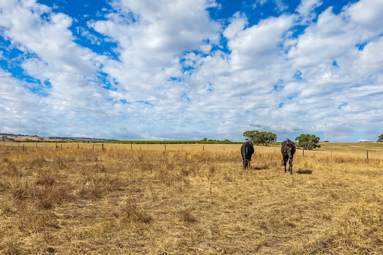 Additional image 44 of 109 Days Road, Kangarilla SA 5157