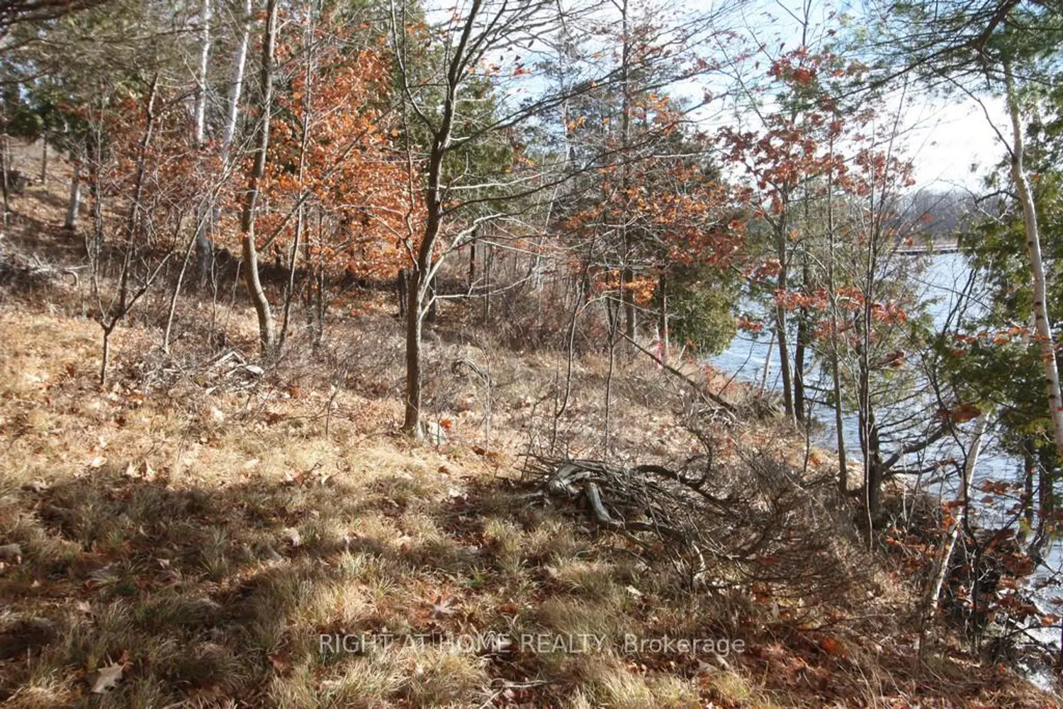 Additional image 3 of 00 Hopper Lane
