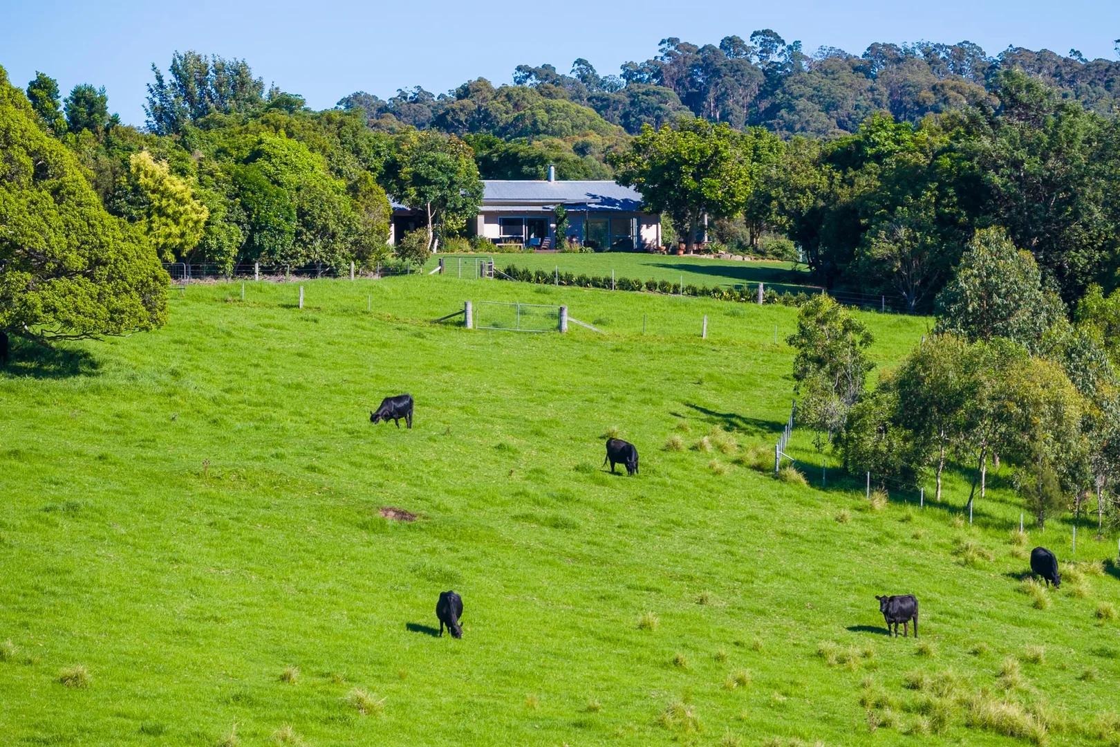 Additional image 53 of 259 Barrabooka Road, Tanja NSW 2550