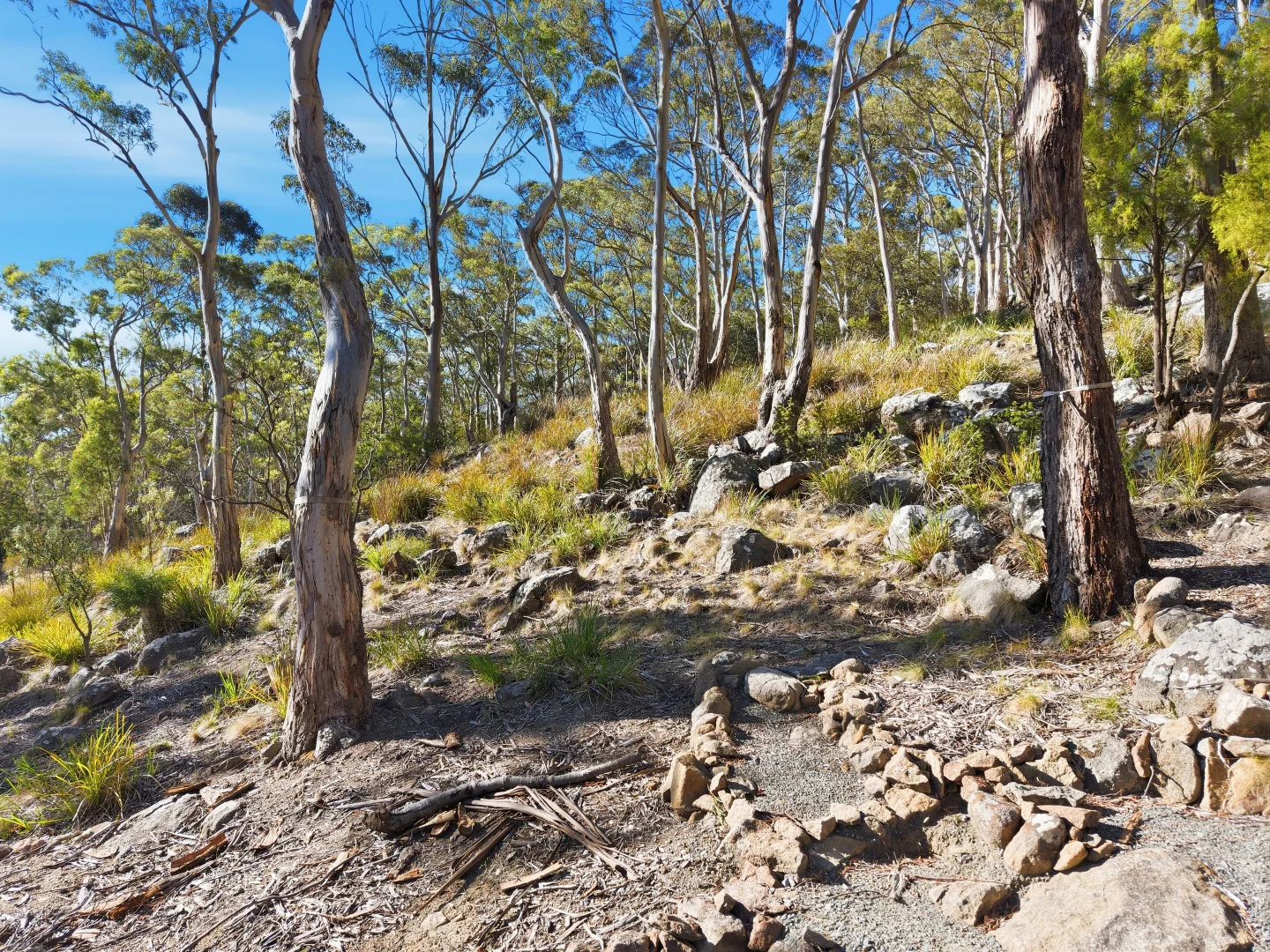 Additional image 16 of Lot Lot 2/649B Nelson Road, Mount Nelson TAS 7007