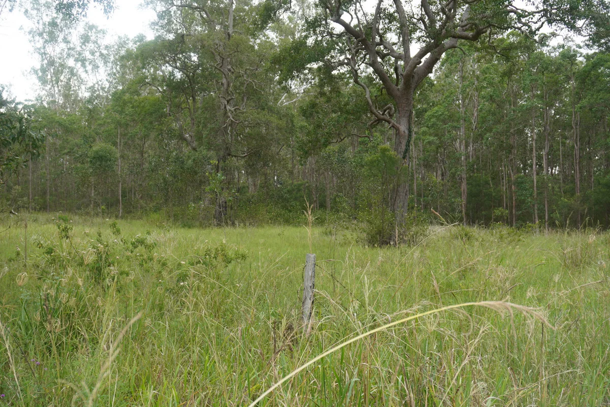 Additional image 33 of 487 Paddys Flat Road, Tabulam NSW 2469