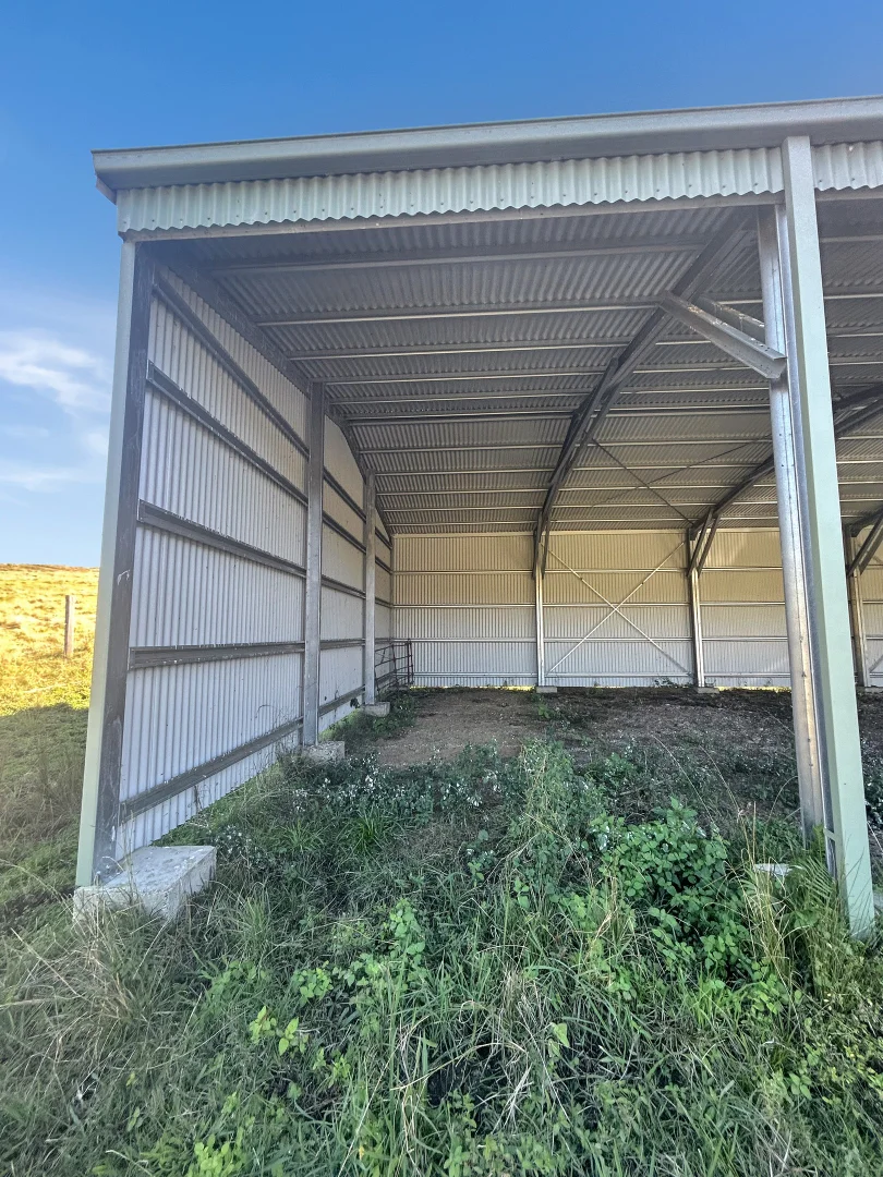 Additional image 4 of 243 Horseshoe Creek Rd, Kyogle NSW 2474