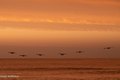 Additional image 72 of 500 Ocean Ter Unit 6, Seaside Heights, NJ, 08751