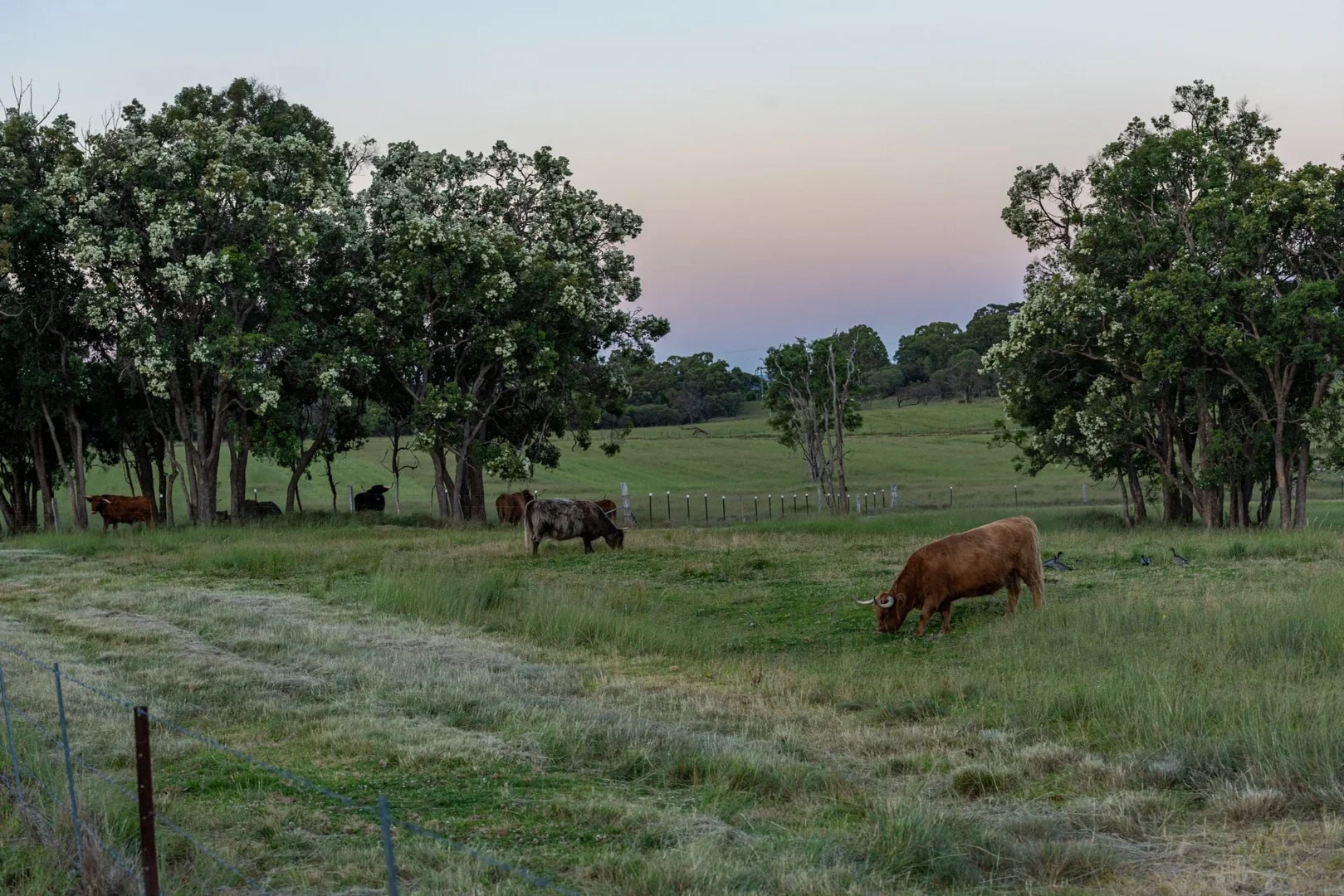 Additional image 31 of 555 Thorndale Road, Thorndale QLD 4380