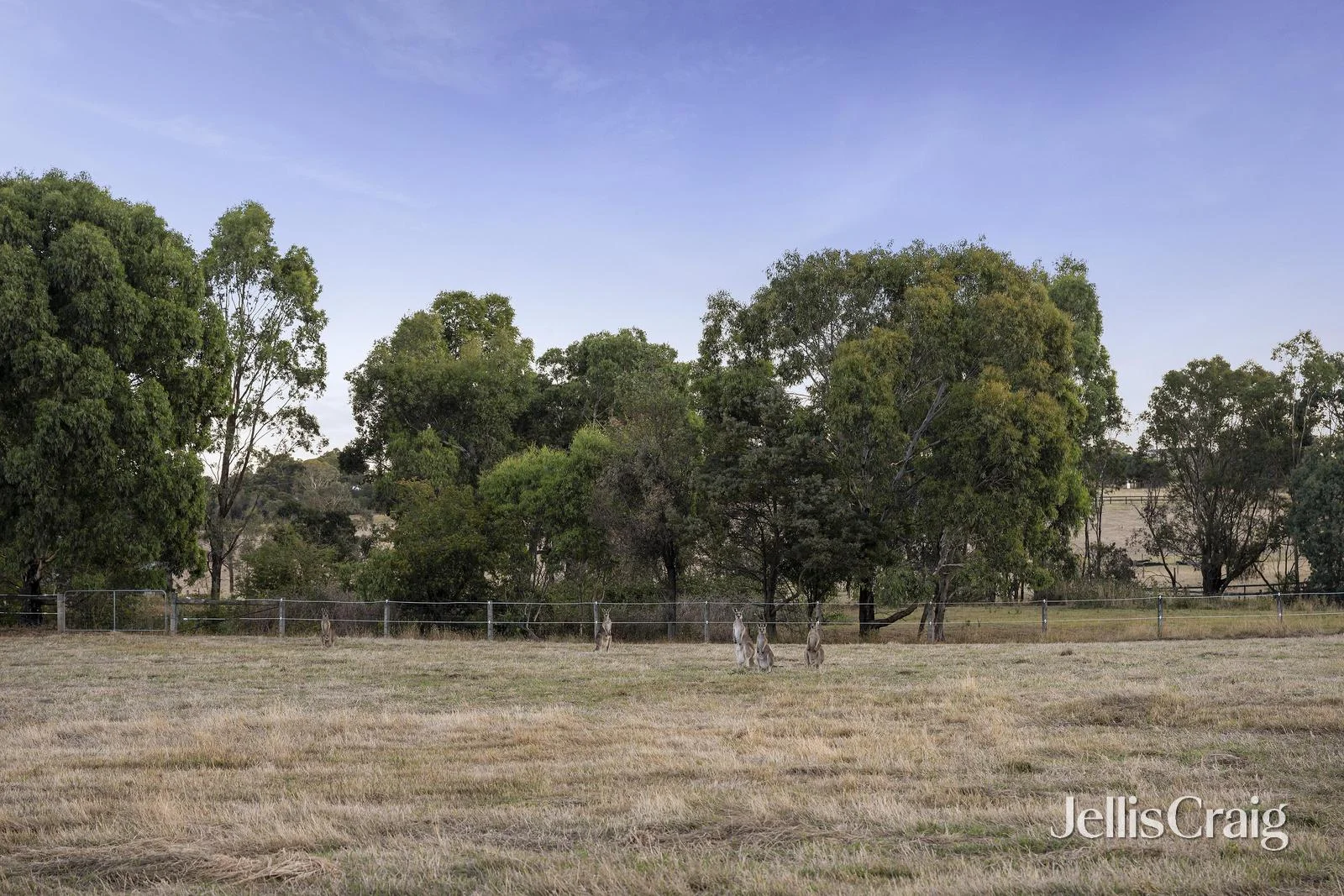 Additional image 29 of 272 Steels Creek Road, Yarra Glen VIC 3775