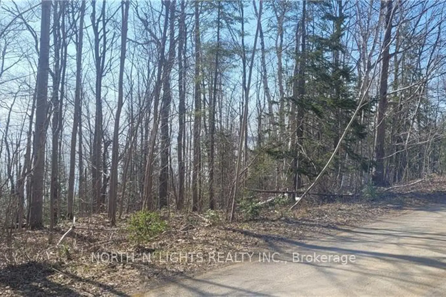 Additional image 2 of 16 Harkins Road Road