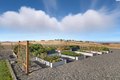 Additional image 33 of 41213 S Clodfelter Rd, Kennewick, WA, 99338