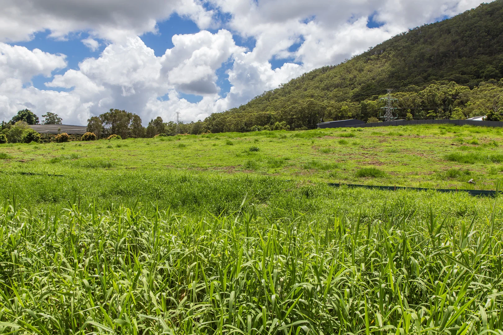 Additional image 11 of 13 Lindeman Road, Beerwah QLD 4519