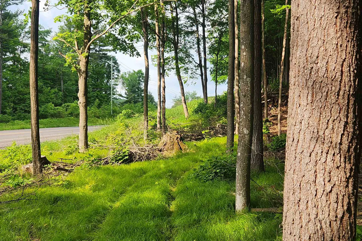 1680 Calabogie Road photo 2