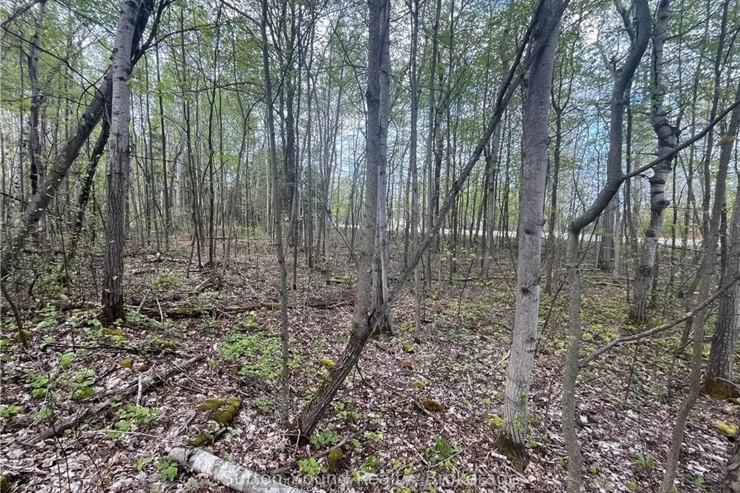 Additional image 4 of Lot 5 Grey Road 1