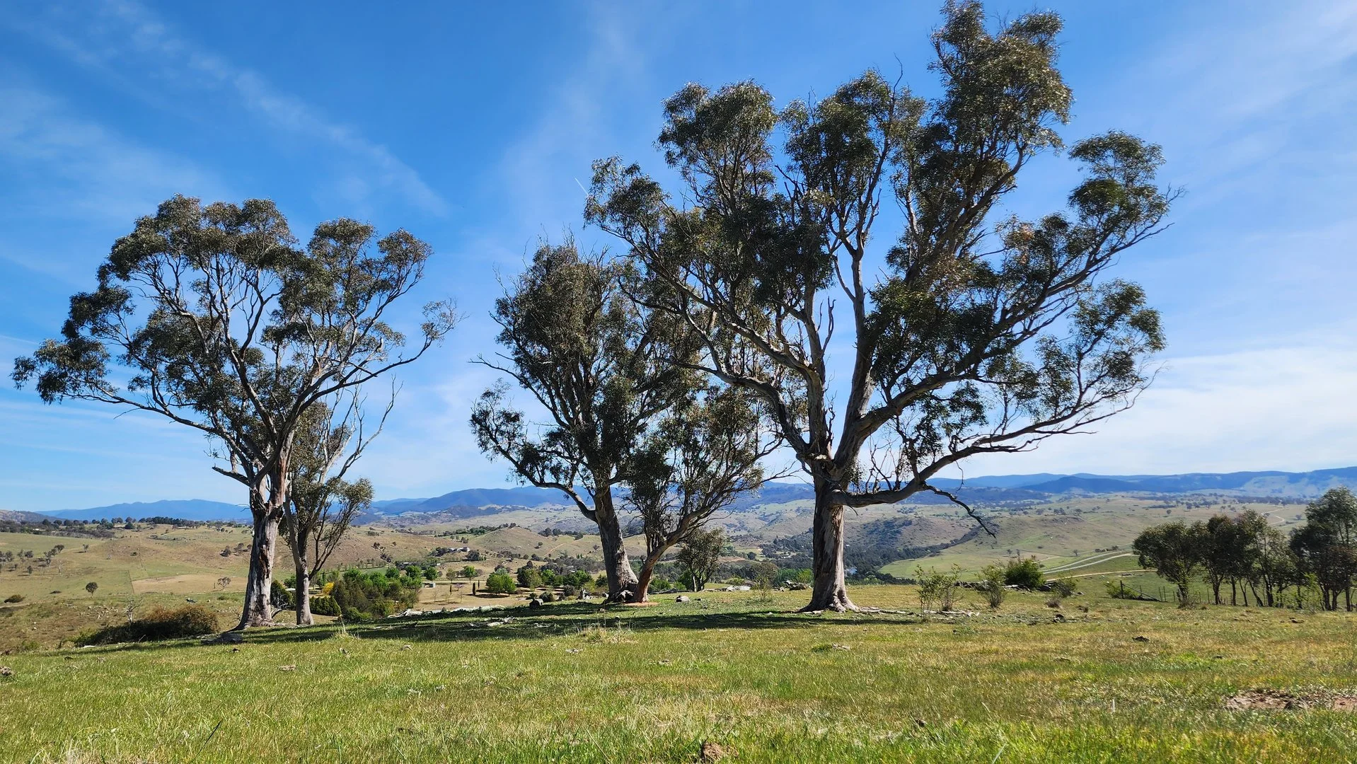 Additional image 7 of 143 Rochford Road, Wallaroo NSW 2618