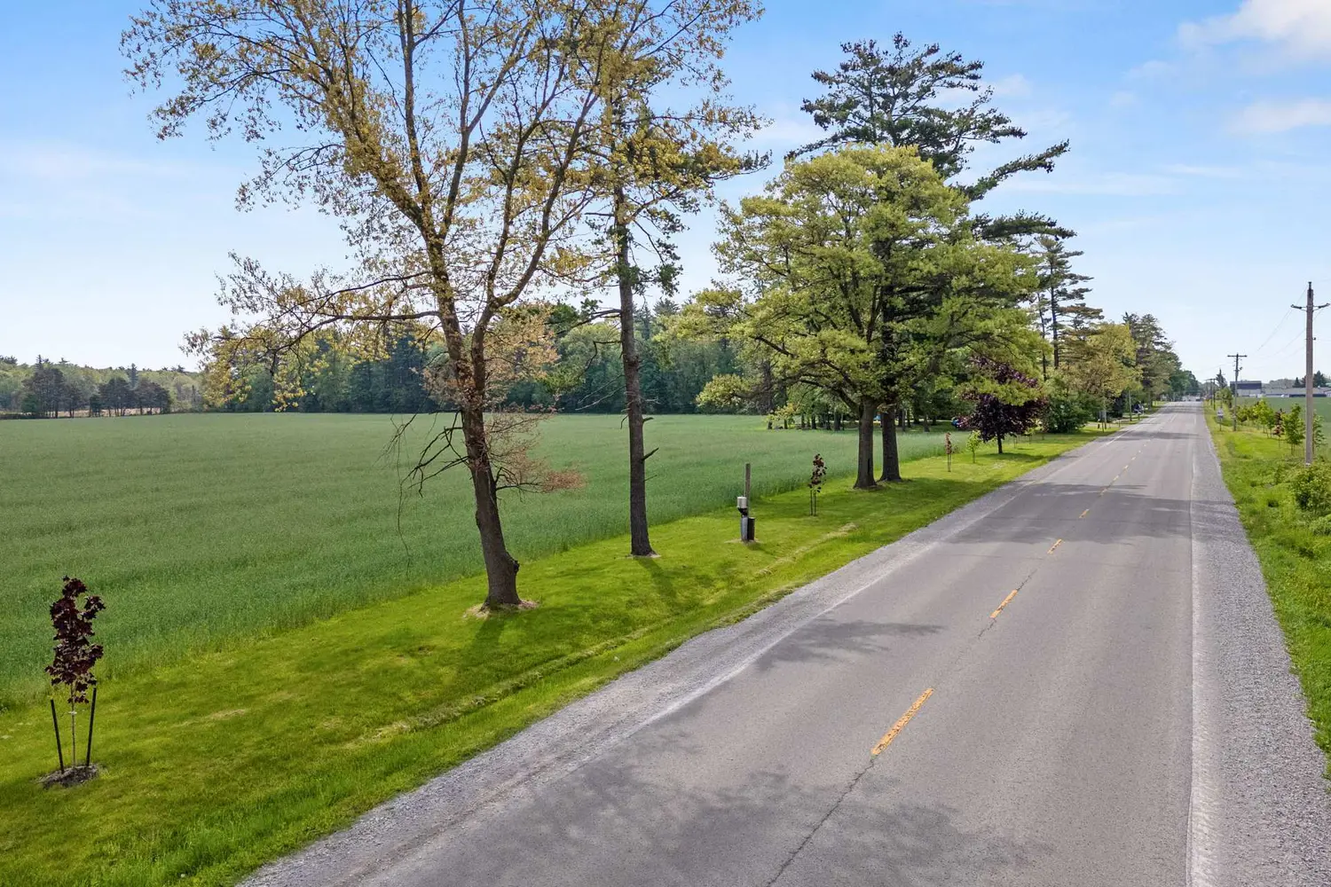 Additional image 9 of N/A Turkey Point Road