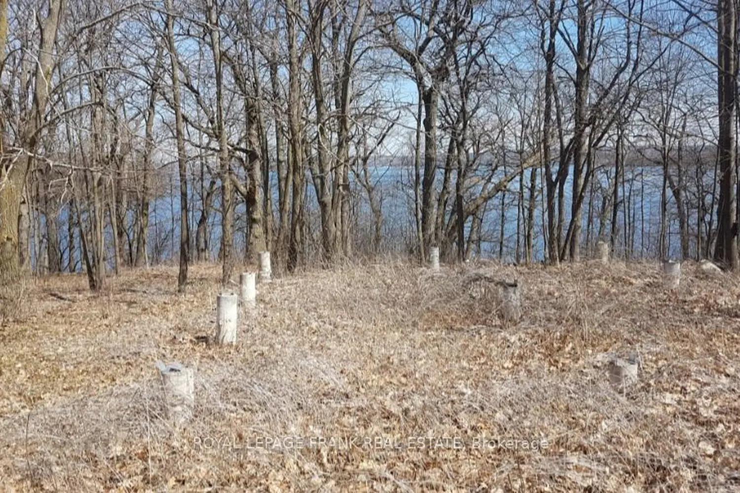 110 Cow Island photo 4
