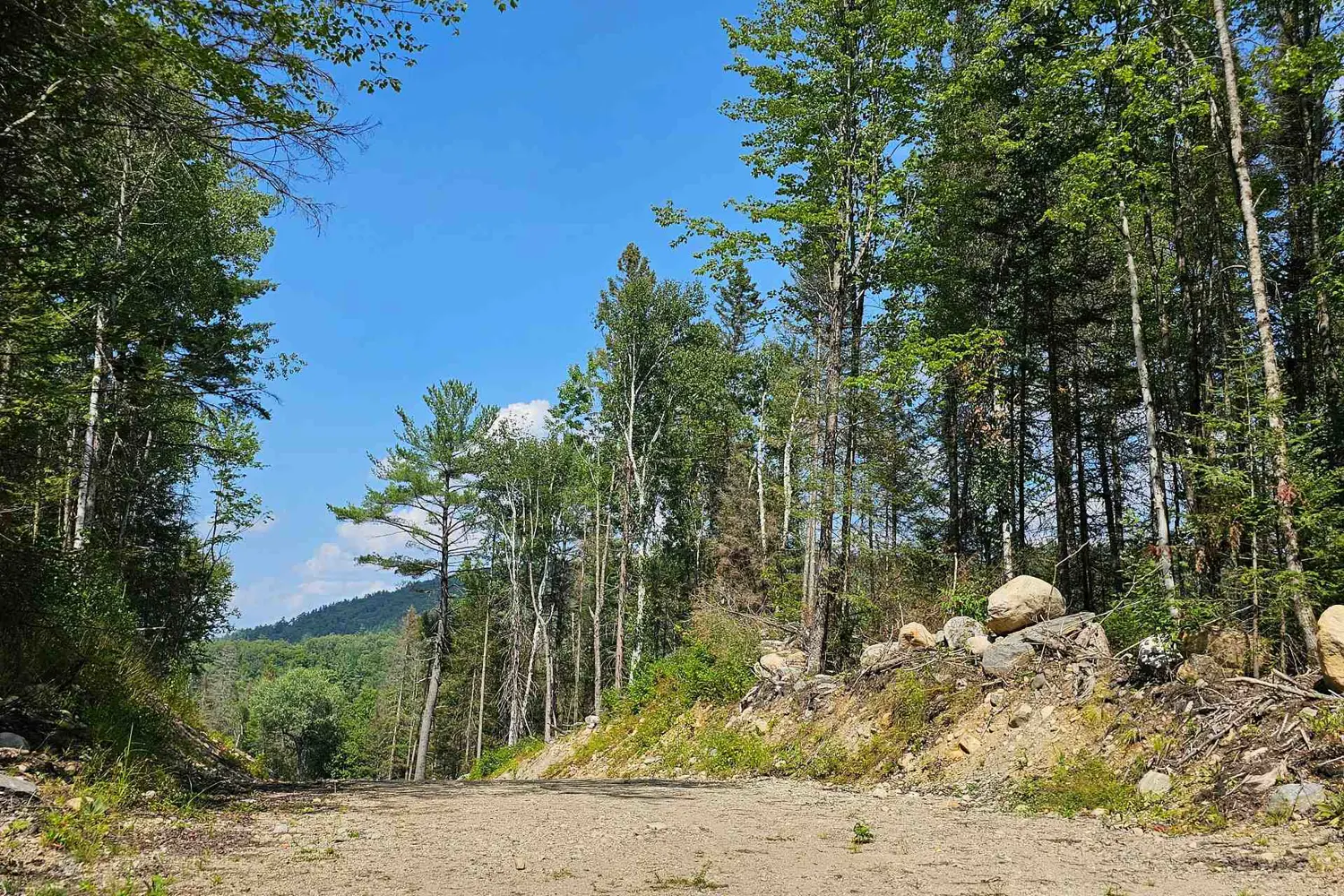 1261 Snake Creek Road