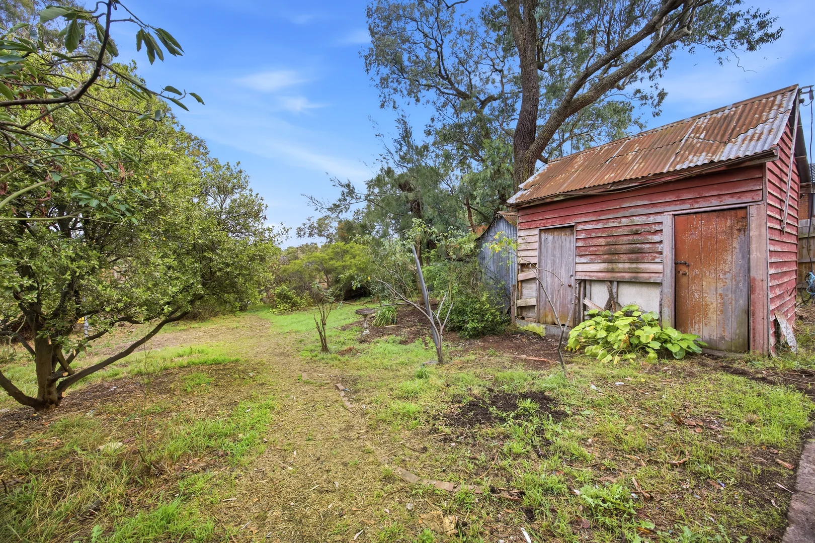 Additional image 14 of 113 Cave Hill Road, Lilydale VIC 3140