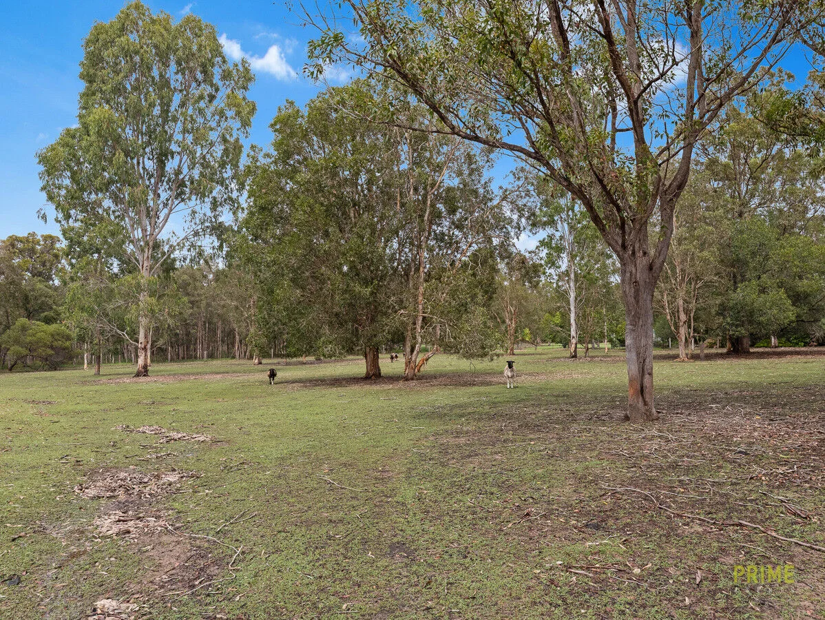 Additional image 33 of 372 Honeyeater Drive, Walligan QLD 4655