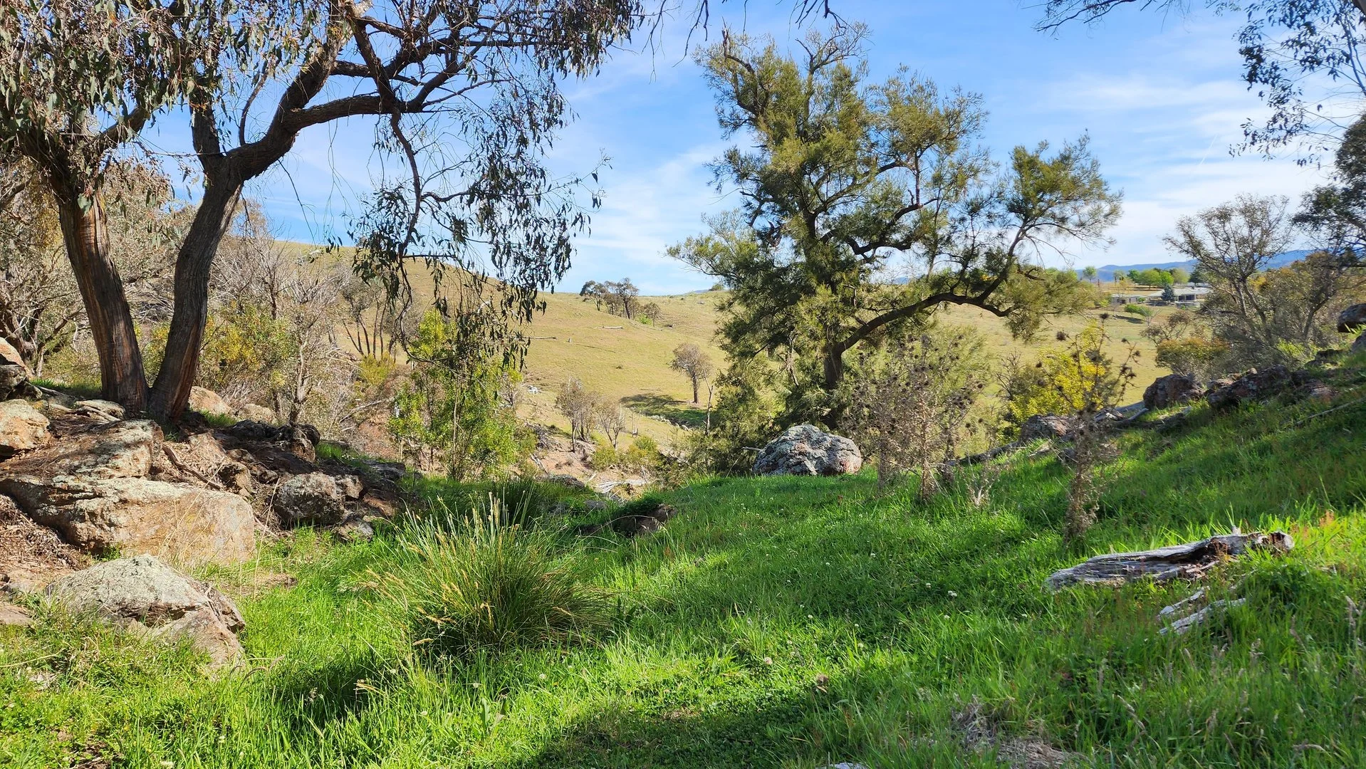 Additional image 26 of 143 Rochford Road, Wallaroo NSW 2618