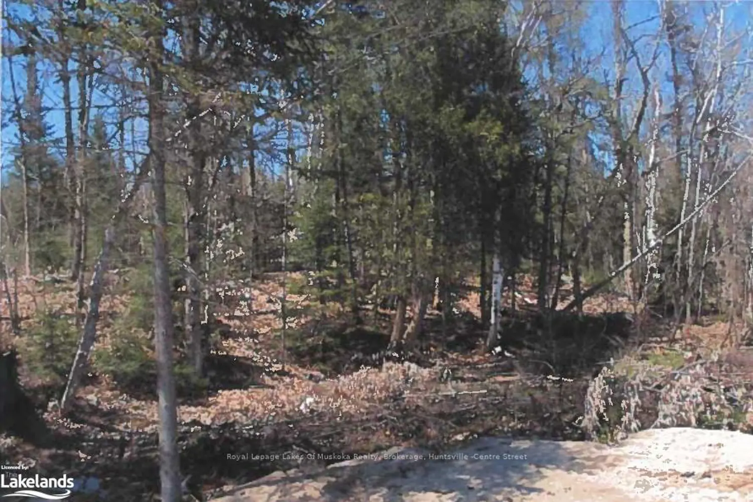151 High Rock Drive photo 4