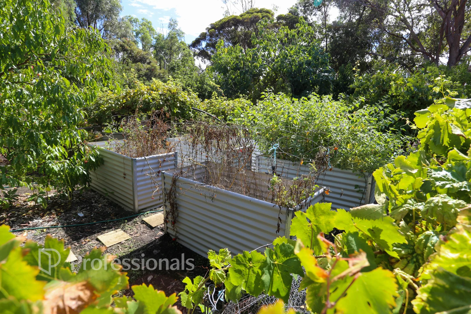 Additional image 31 of Lot 34 Fisheries Road, Myrup WA 6450
