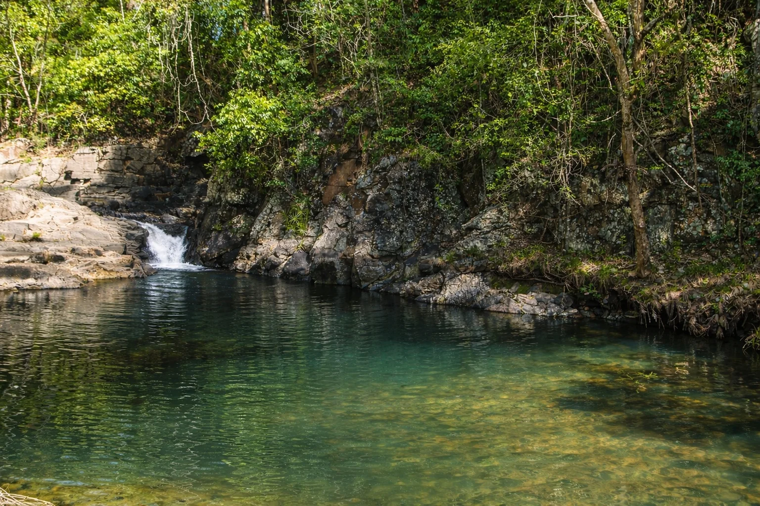 Additional image 5 of 85 Ruwoldts Road, West Woombye QLD 4559