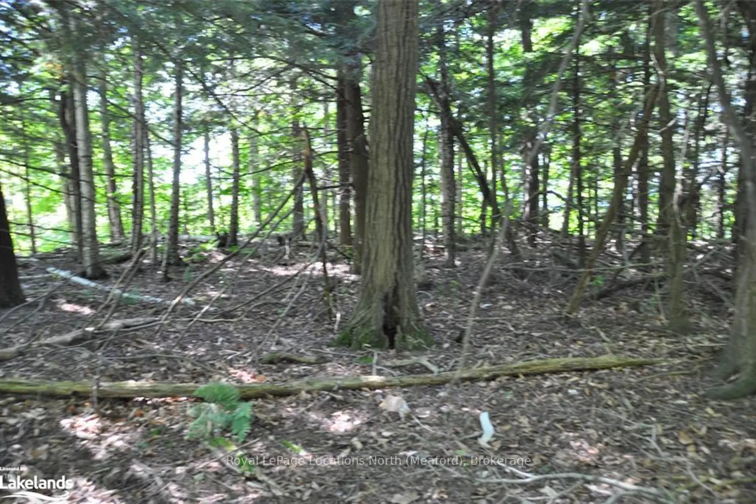 Additional image 5 of Lot 21 Bayshore Road