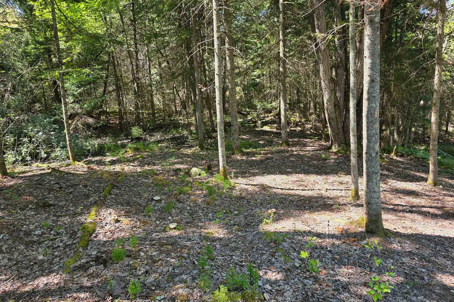 Additional image 10 of 00 Whitney Road