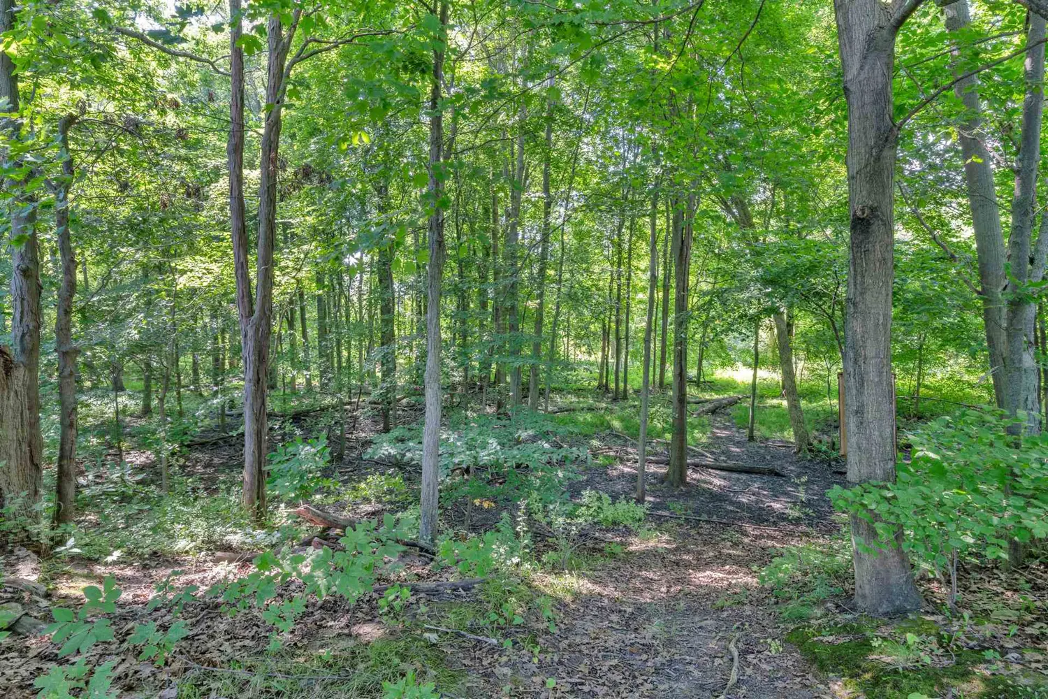 Additional image 20 of 2310 Hickson Road
