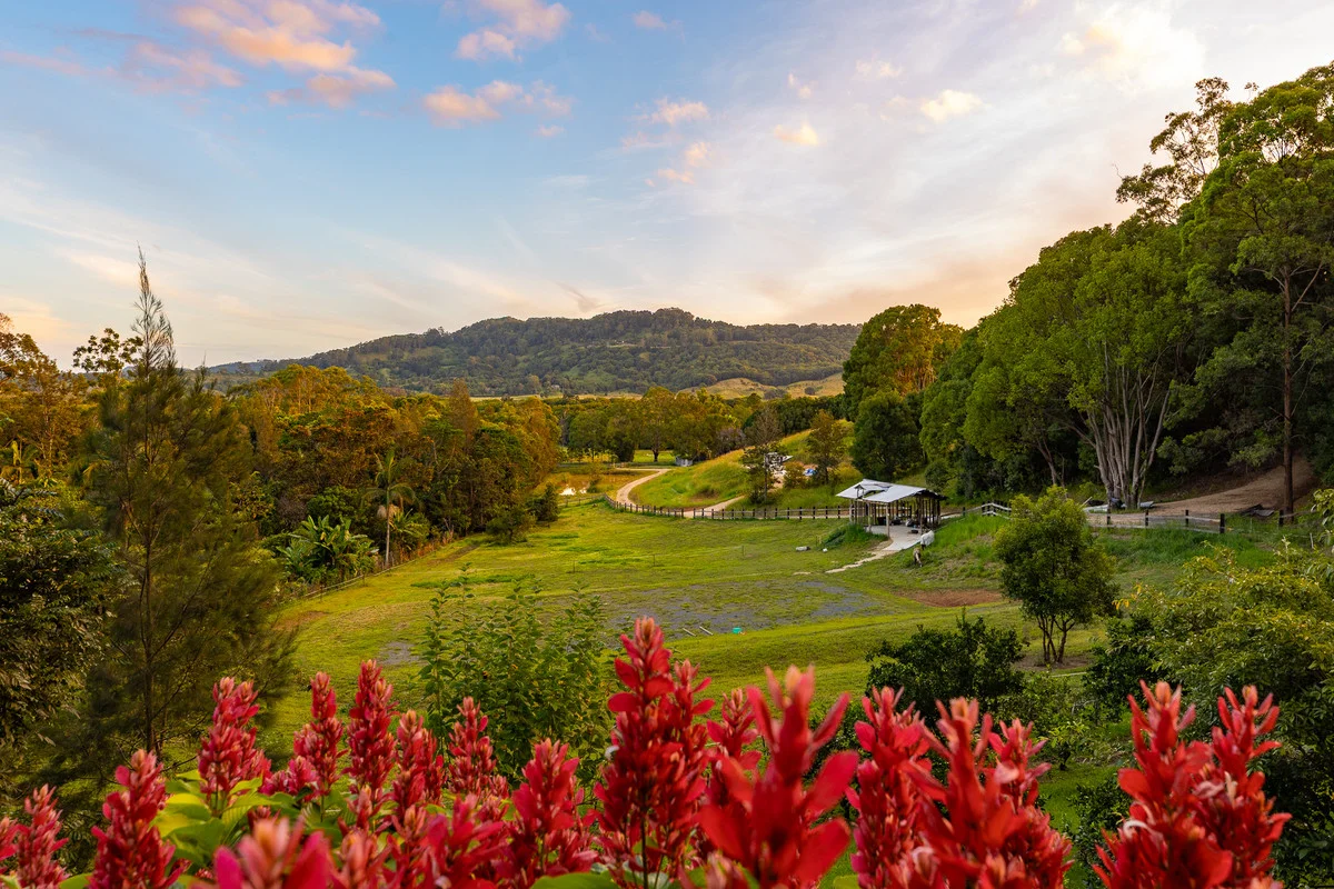 Additional image 8 of 37 Tristran Parade, Mullumbimby Creek NSW 2482