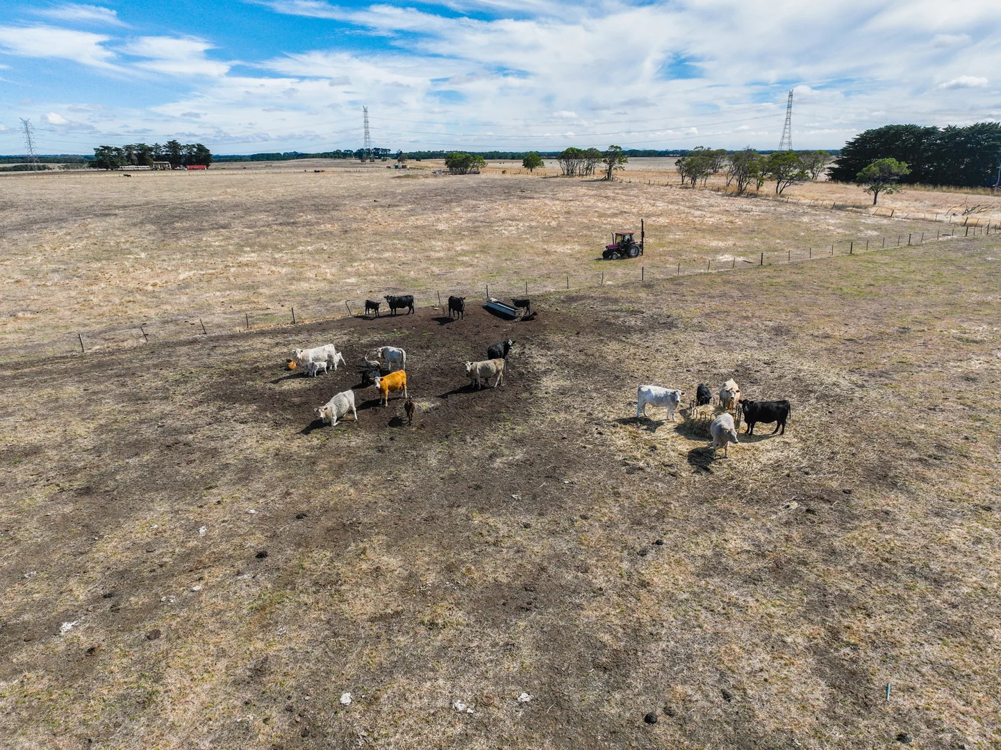 2 Bostocks Road, Woolsthorpe VIC 3276 photo 3