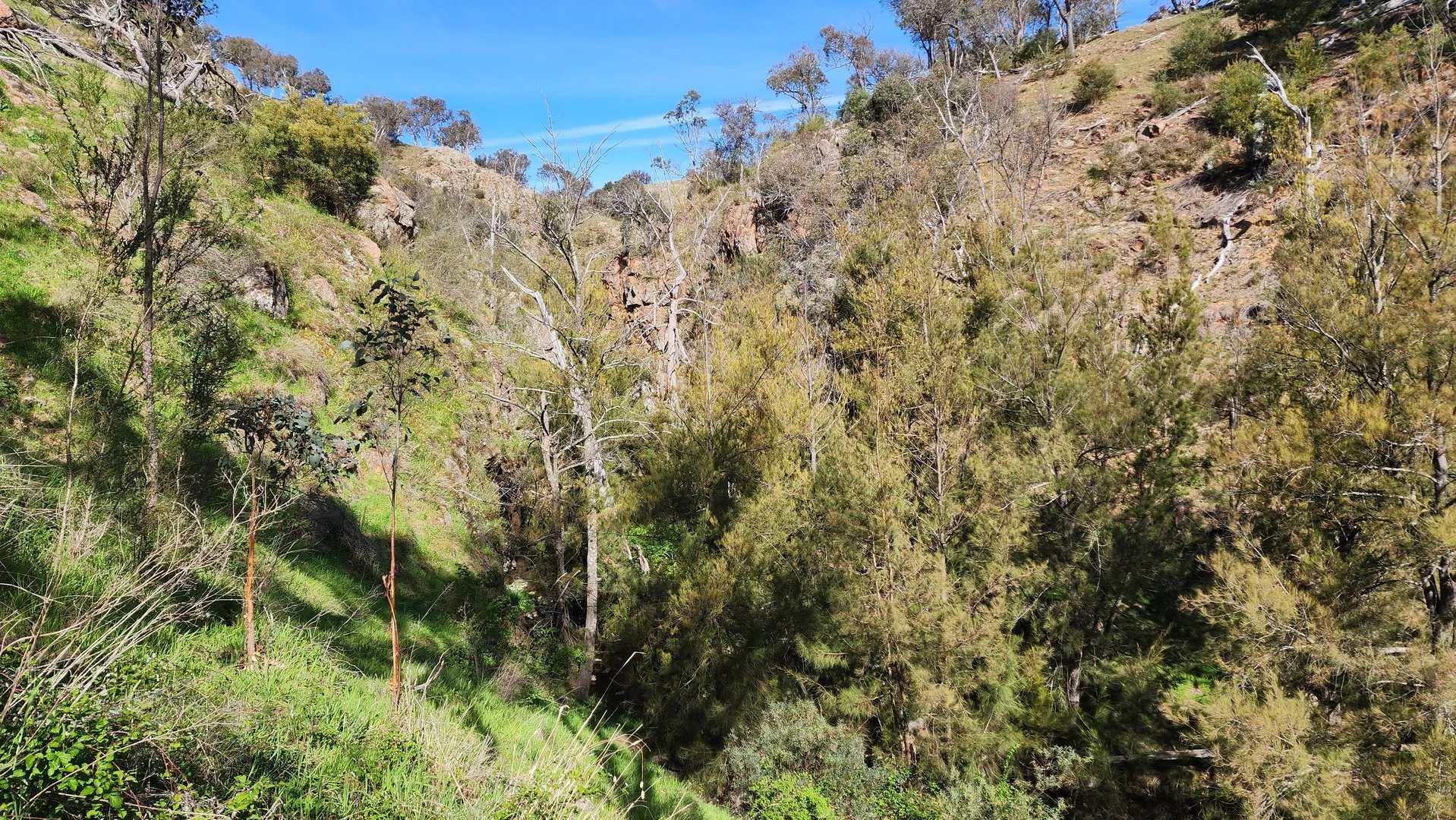 Additional image 22 of 143 Rochford Road, Wallaroo NSW 2618