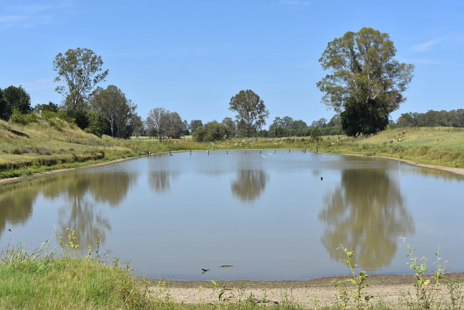 Additional image 10 of lot 103 Pidgeons Road, Tiaro QLD 4650