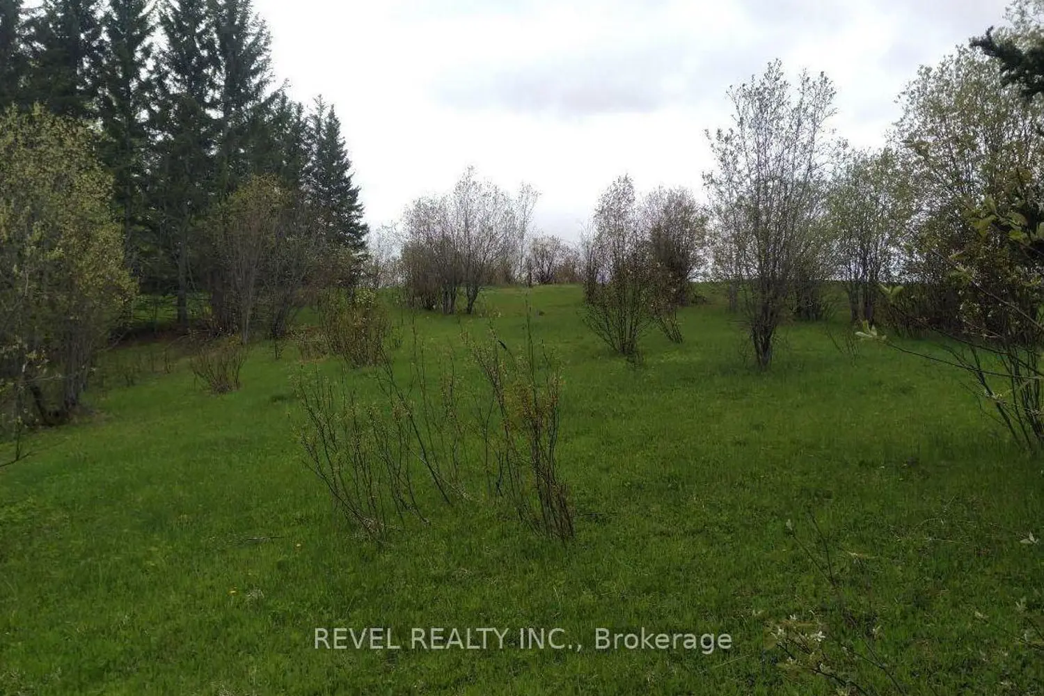 Additional image 4 of 4802 Municipal Road